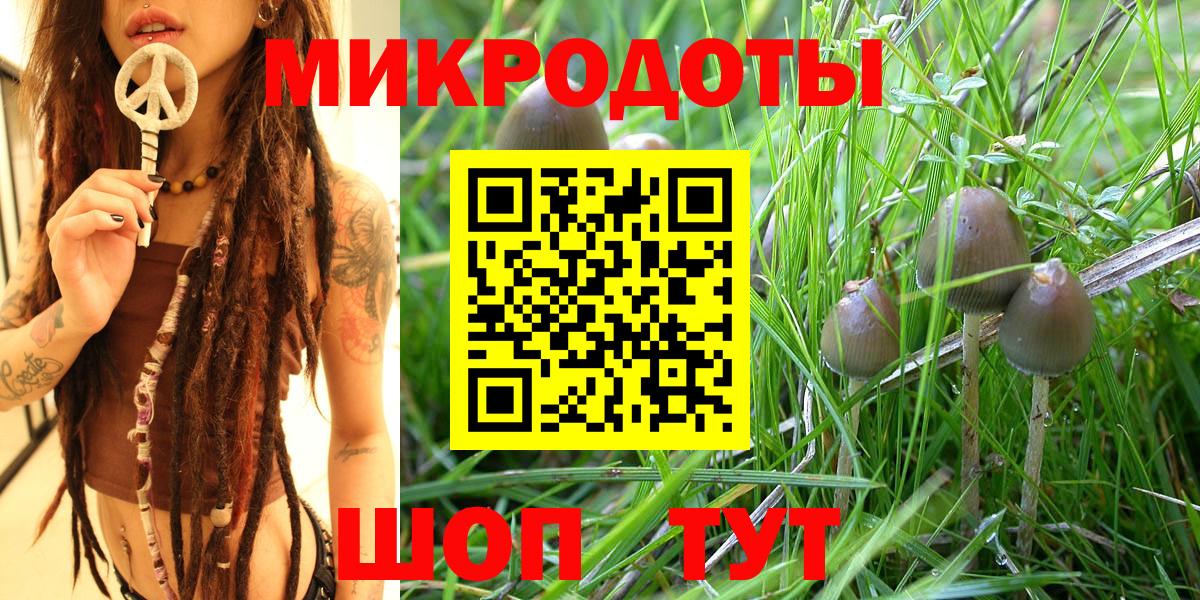 Галлюциногенные грибы мицелий Лосино-Петровский